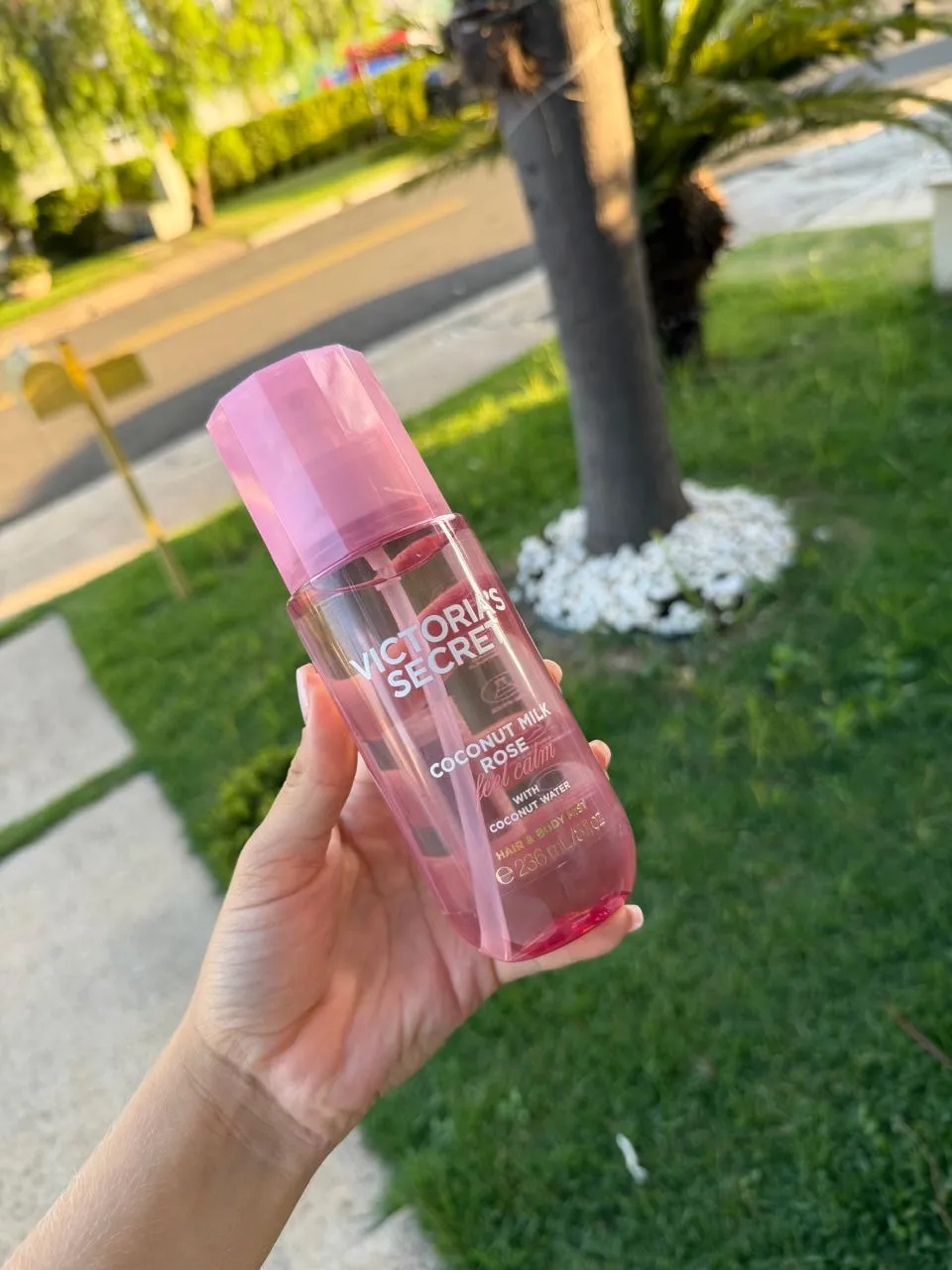 Body Splash Victoria's Secret Coconut Milk & Rose 236ml 1