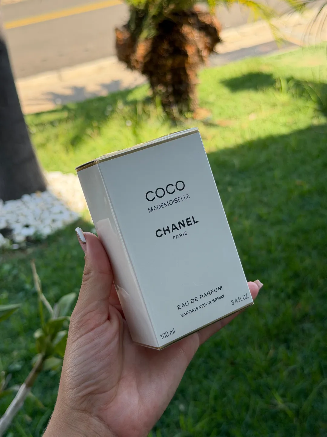 Perfume Chanel Paris Coco Mademoiselle 100ml 1