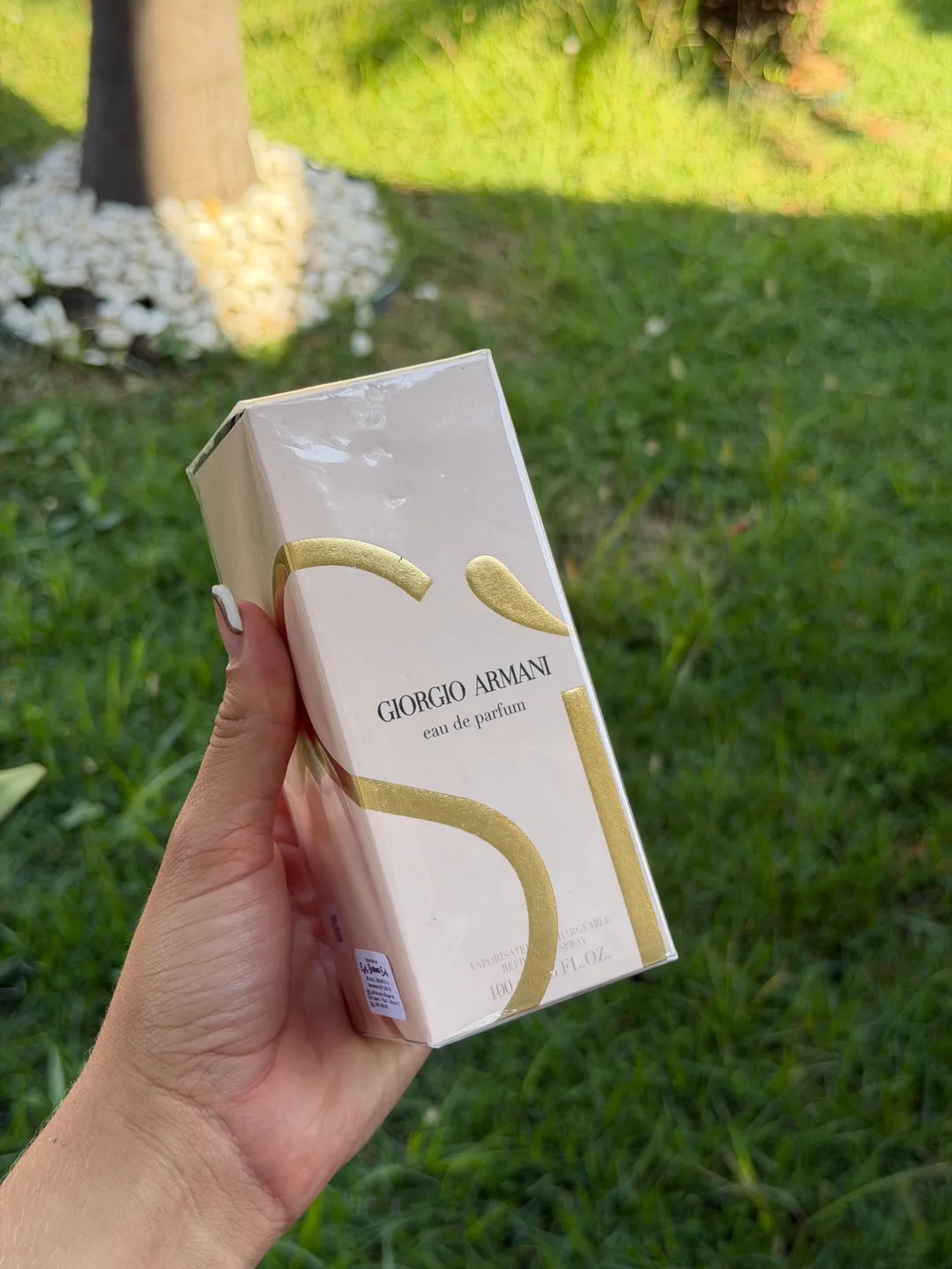 Perfume Giorgio Armani 100ml 1