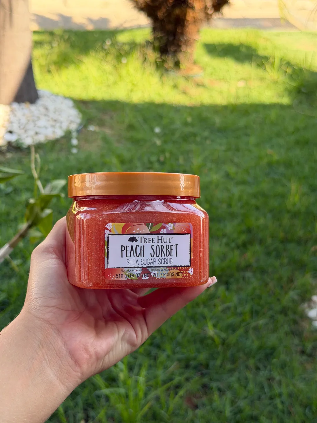 Esfoliante Corporal Tree Hut Peach Sorbet 510g 1