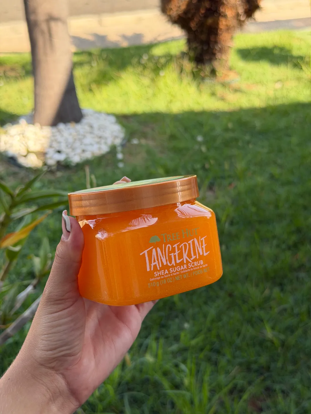 Esfoliante Corporal Tree Hut Tangerine 510g 1