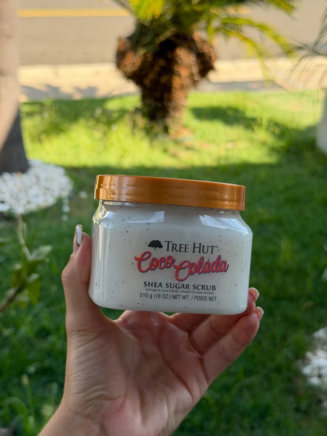 Esfoliante Corporal Tree Hut Coco Colada 510g 1