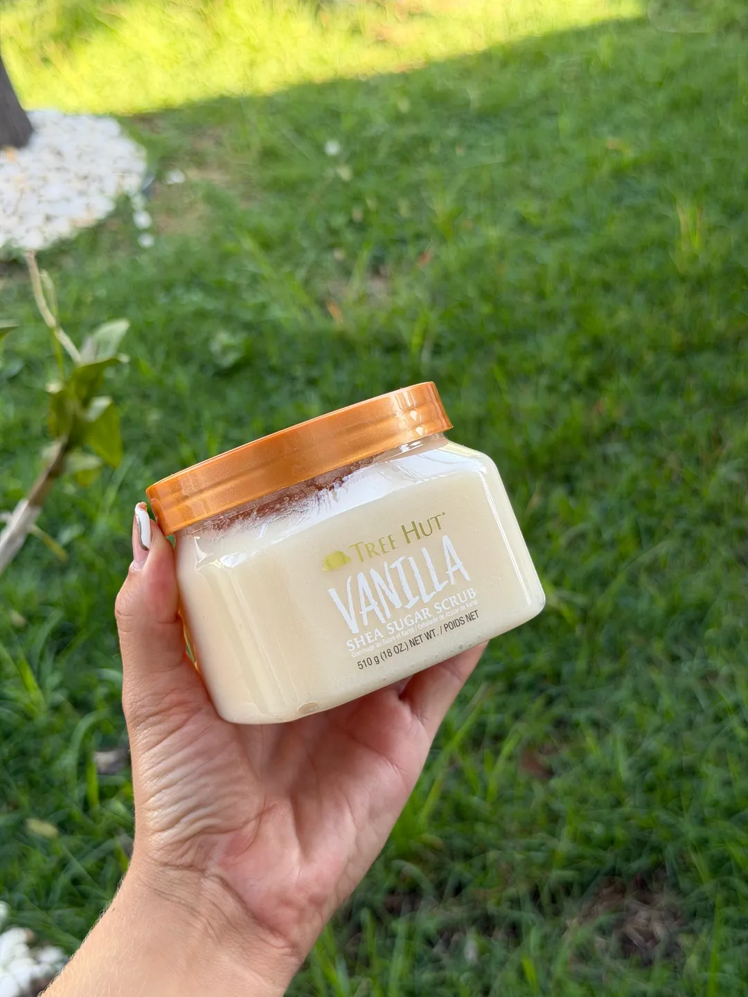 Esfoliante Corporal Tree Hut Vanilla 510g 1